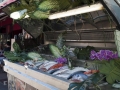 Ráno je zde tržiště, odpoledne vše uklidí a přemění na zahrádky kaváren a restaurací - Cours Saleya.