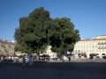Náměstí - Place Garibaldi.