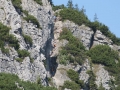 Pod Tanečnicou