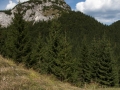 Pod Tanečnicou