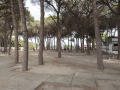 Park v Marina Di Campo