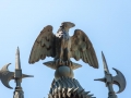 Kování brány u Villa Napoleonica di S. Martino