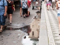 Tržnice na Havelské ulici