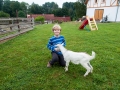 Na farmě v Růžové