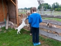 Na farmě v Růžové