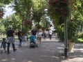 Tivoli