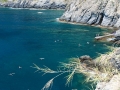 Záliv mezi Manarola a Corniglia