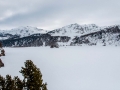 _DSC5496