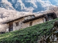 Pred Pianazzola