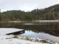Cesta z Fløyen k jezirku Revurtjernet