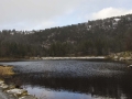 Jezirko  Revurtjernet