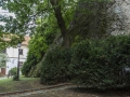 Zamek Mikulov