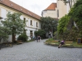 Zamek Mikulov
