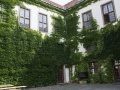 Zamek Mikulov