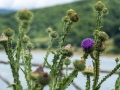 Vylet na Lago di Campotosto
