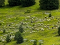 Vylet na Lago di Campotosto