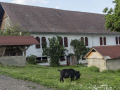 Statek nad Worthersee