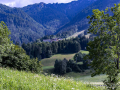 Cesta na Burgruine Finkenstein