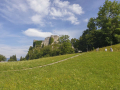Burgruine Finkenstein