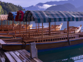 Bled