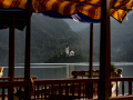 Bled