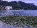 Bled