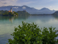 Jezero Bled