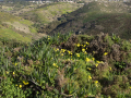 Cabo da Roca