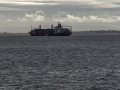 Rio Tejo
