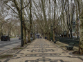 Avenida da Liberdade
