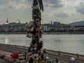 IMG_20200817_0019