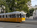 IMG_20200817_0033