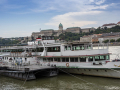 IMG_20200817_0055