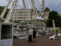 IMG_20200817_0060