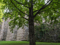 IMG_20200818_0125