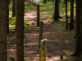 IMG_20210721_0315