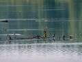 IMG_20210723_0424
