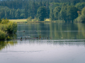 IMG_20210723_0425