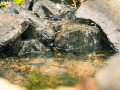 IMG_20210717_0045