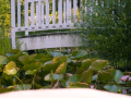 IMG_20210718_0085