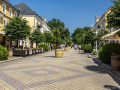 Frantiskovy lazne