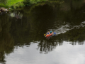 Loket