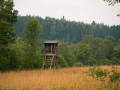 IMG_20210720_0232