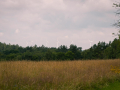 IMG_20210720_0235