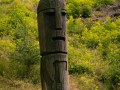 IMG_20210720_0241