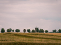 IMG_20210720_0252