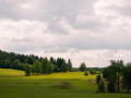 IMG_20210720_0261