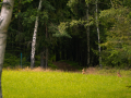 IMG_20210720_0265