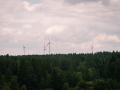 IMG_20210720_0269