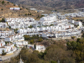 IMG_20220303_0175